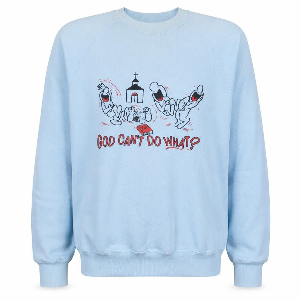 Fruit of the Loom Mens Blue Funny Graphic Pullover Sweatshirt L