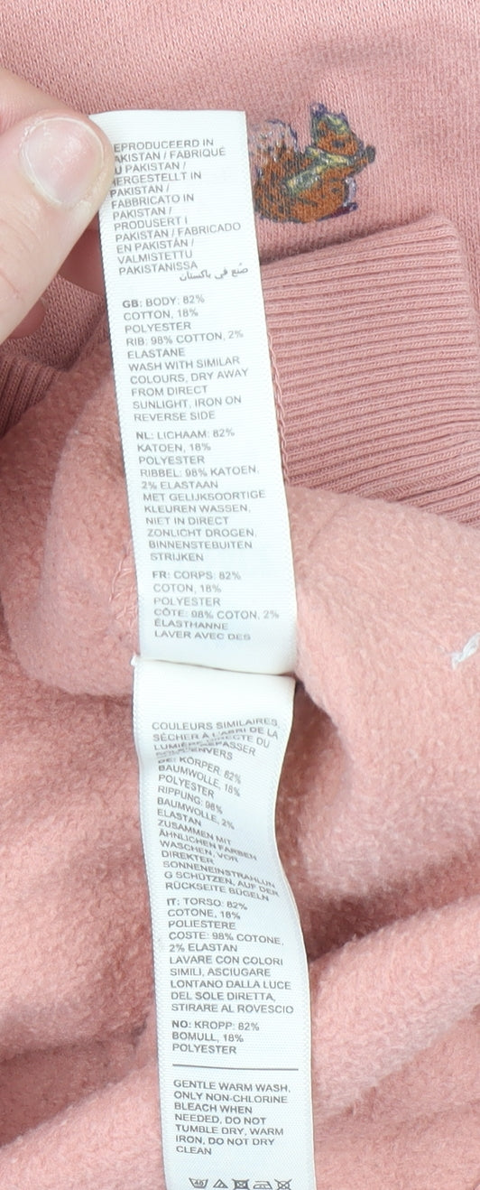 FatFace Girls Pink Embroidered Squirrel Sweatshirt 11-12 Years Pullover