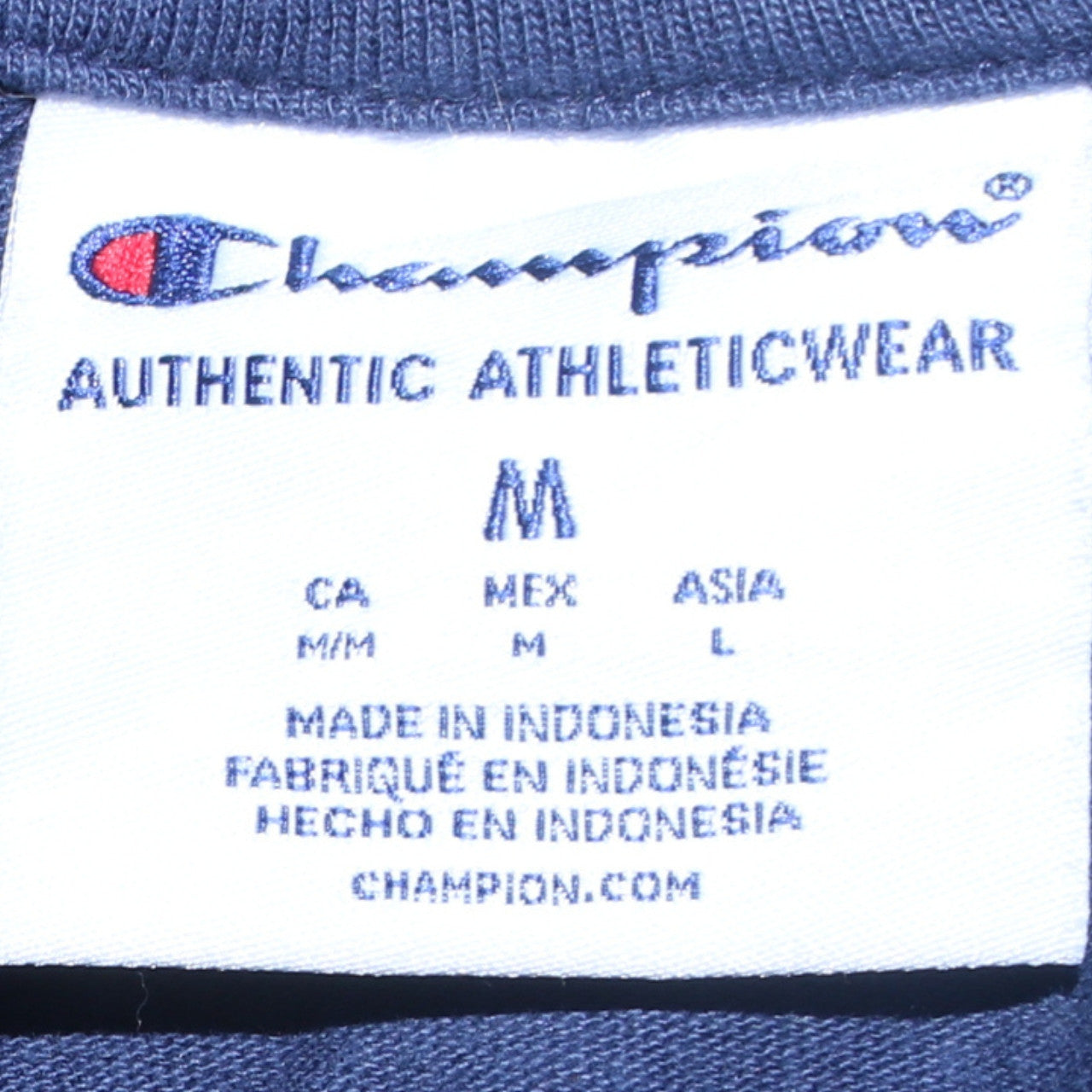 Champion Men's Blue Pullover Hoodie M Logo Sports Cotton