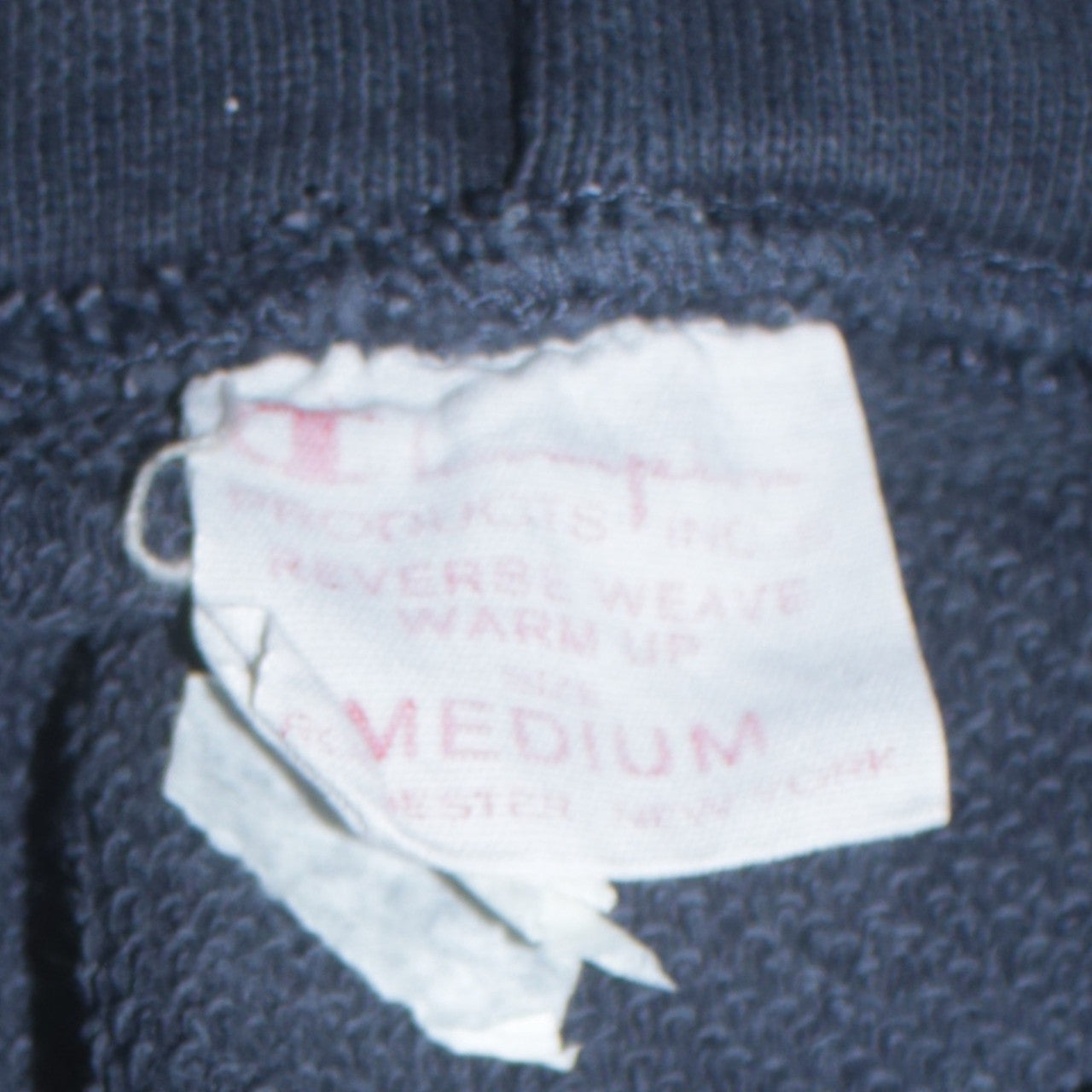 Champion Men's Blue Medium Pullover Hoodie Reverse Weave