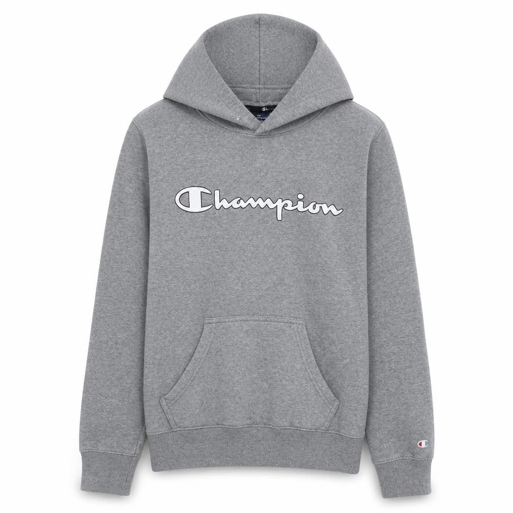 Champion Womens Grey XS Pullover Hoodie with Logo