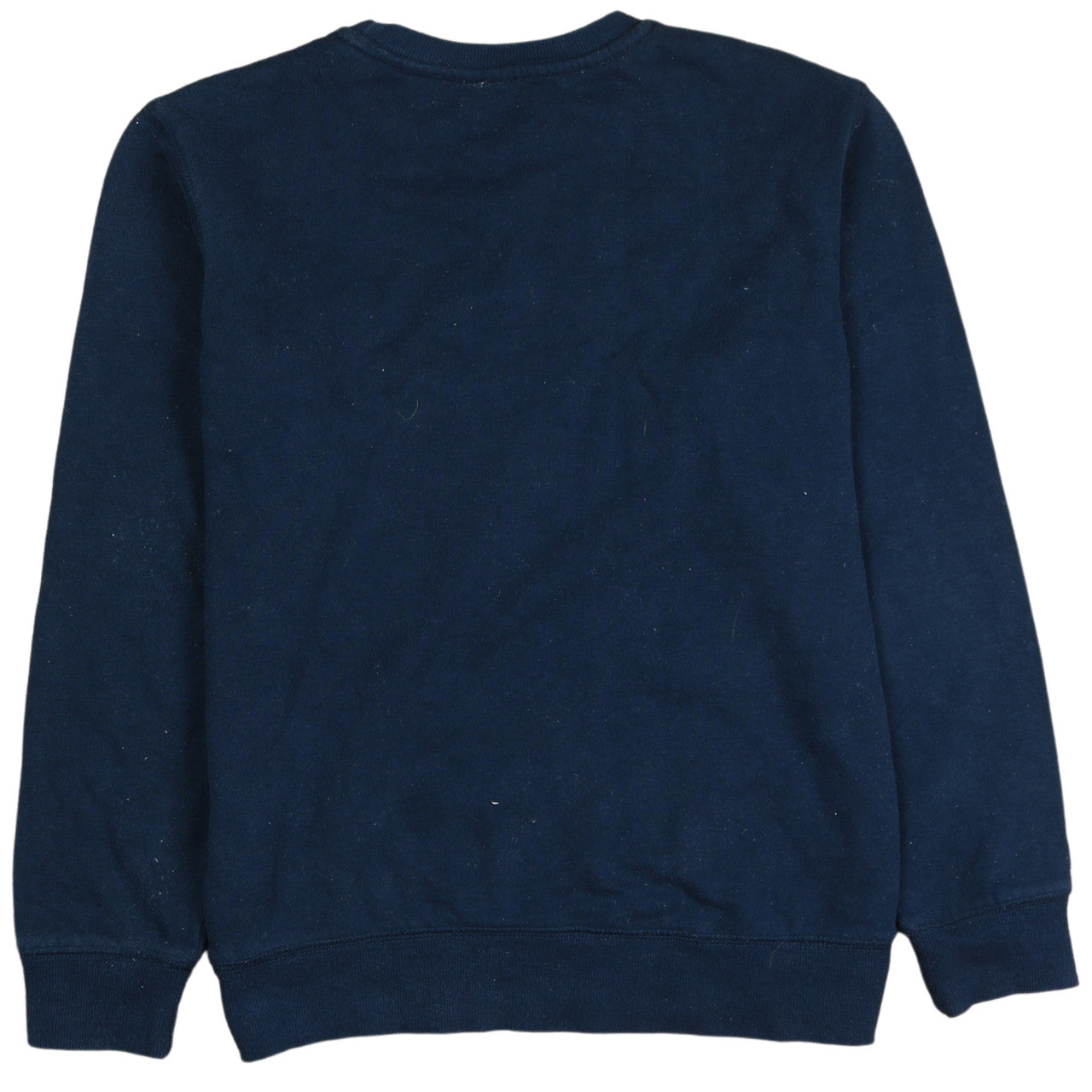 Champion Boys Blue Pullover Sweatshirt L Logo Embroidered Fleece