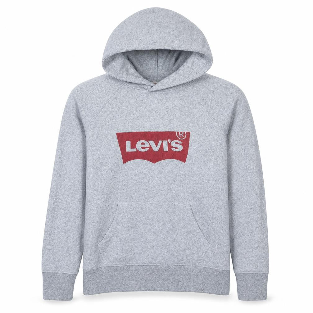 Levi's Men's Grey XS Pullover Hoodie with Logo Graphic Print