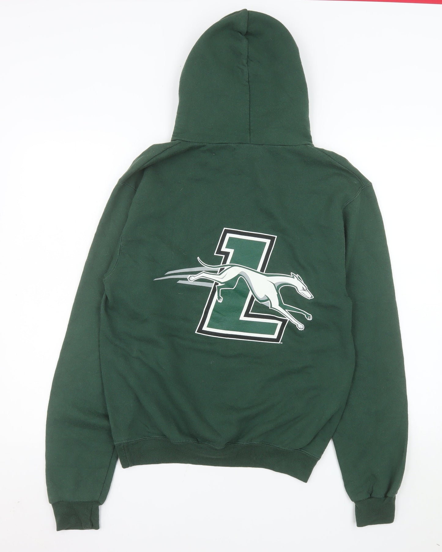 Champion Men Green Loyola University Pullover Hoodie Size S
