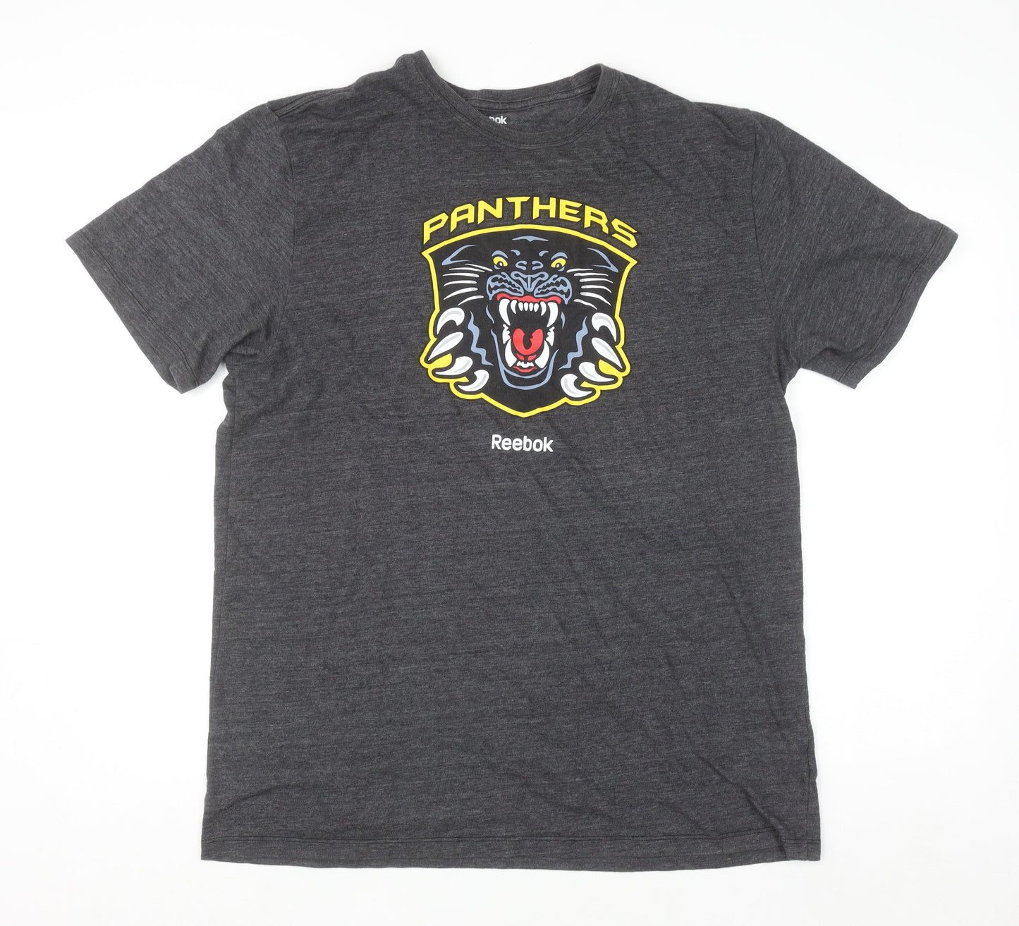 Reebok Men’s Grey 2XL Panthers Graphic Sports T-Shirt