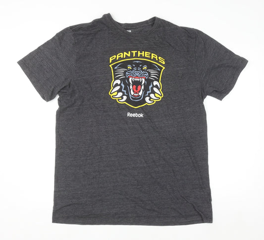 Reebok Men’s Grey 2XL Panthers Graphic Sports T-Shirt