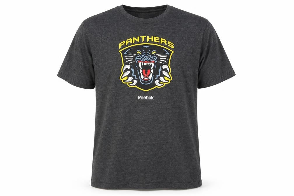 Reebok Men’s Grey 2XL Panthers Graphic Sports T-Shirt