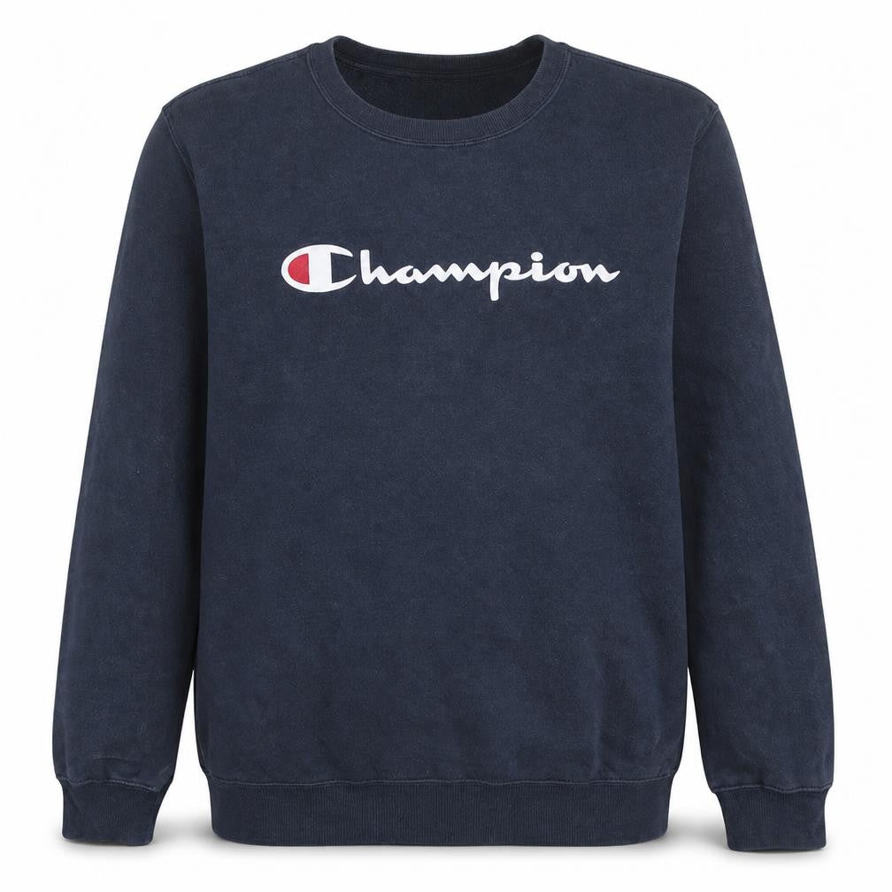 Front view of Champion Men's Blue Large Pullover Logo Sweatshirt