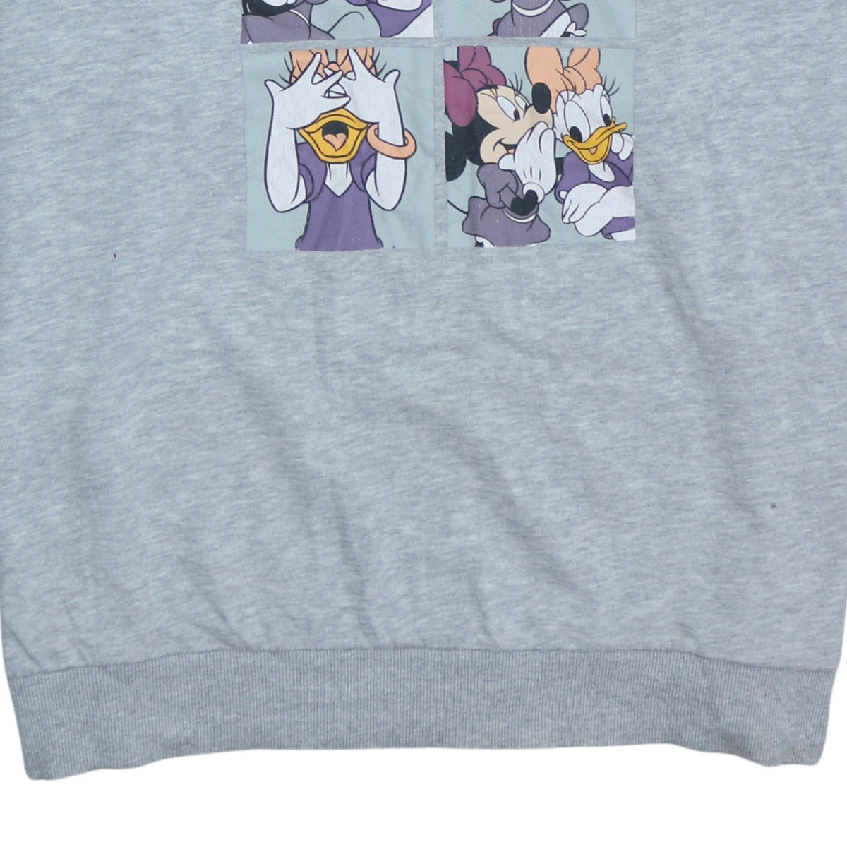 Brand and care label for Disney women’s grey minnie & daisy crazy friends sweatshirt xl