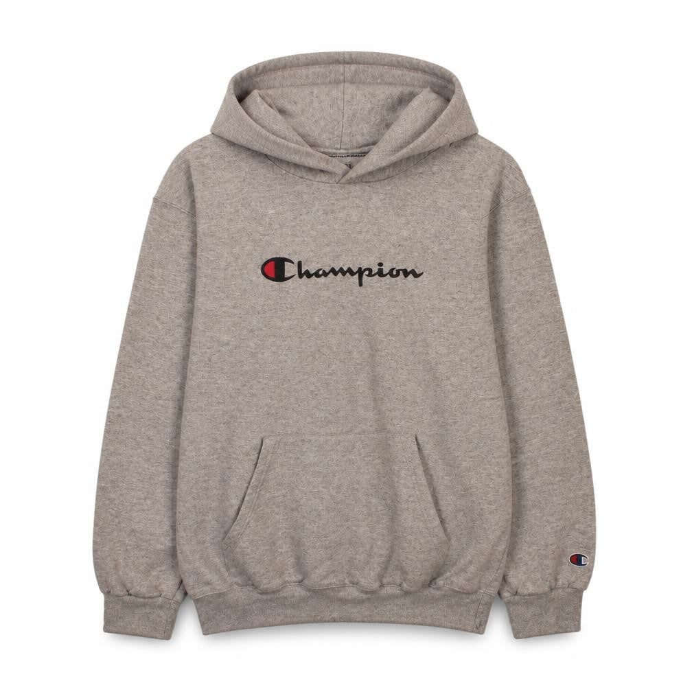 Champion Boys Grey Pullover Hoodie XL Fleece Lined Authentic Logo