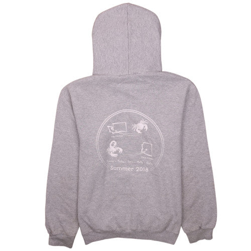 Champion Boys Grey YL Pullover Hoodie Fleece Eco Authentic