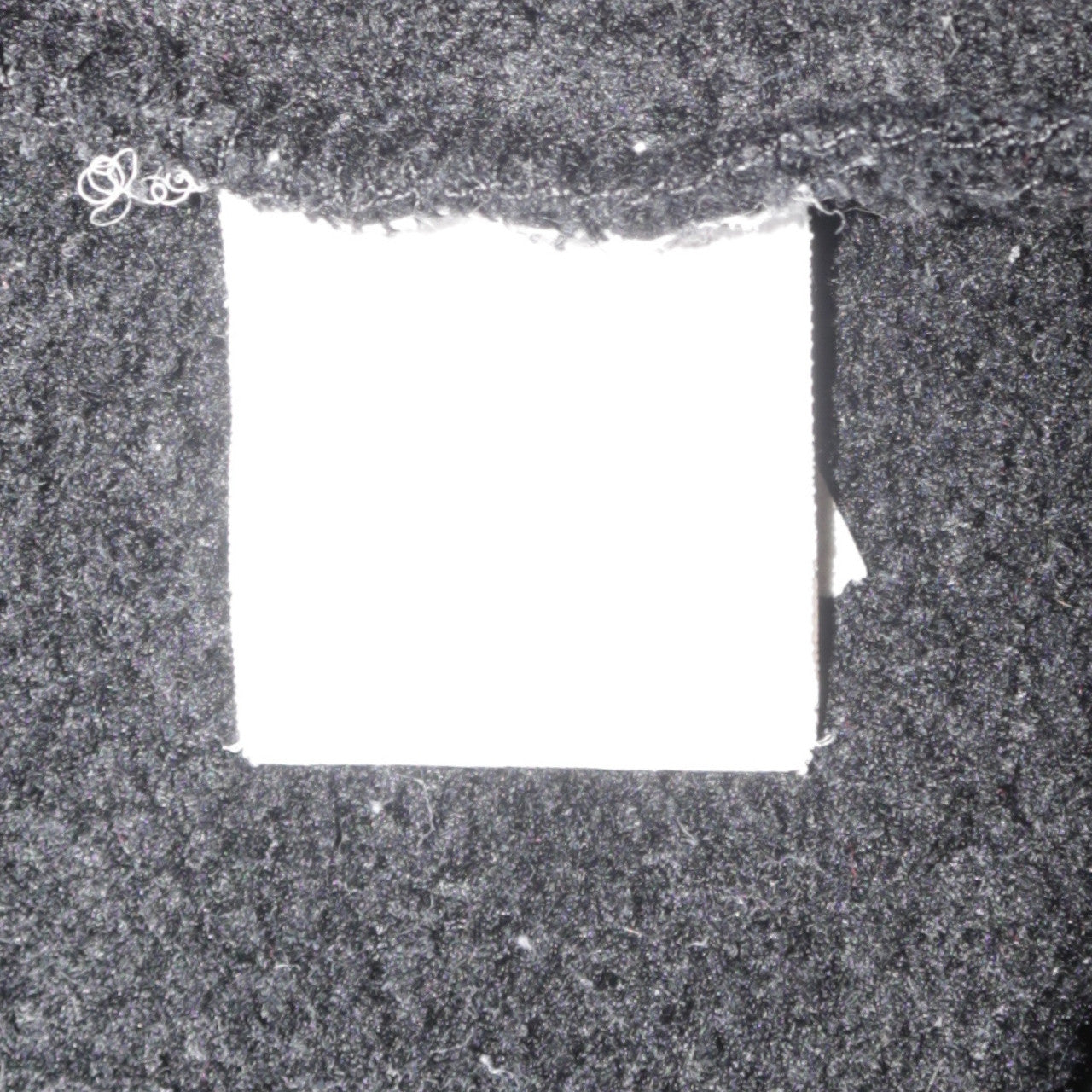 Champion Men's Black Medium Pullover Hoodie with Logo Embroidery