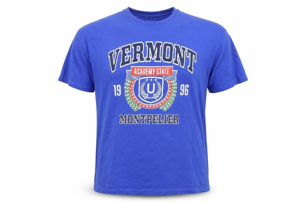 H&M Divided Men Blue Vermont University Graphic Cotton T-Shirt L