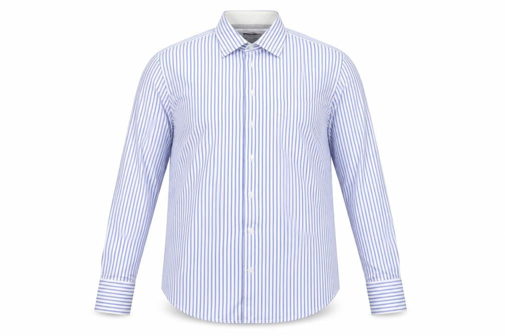 Arrow Men's Blue Striped Regular Fit 42cm Cotton Dress Shirt