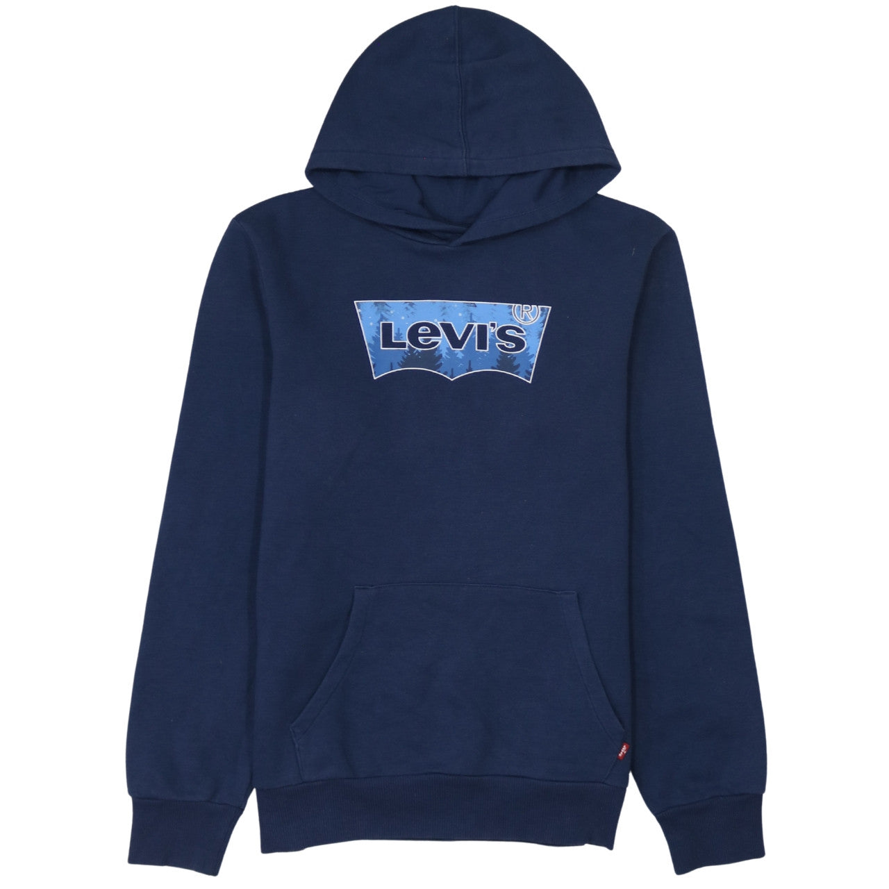 Levi's Boys Blue Pullover Hoodie 16 Years Graphic Logo Cotton Blend