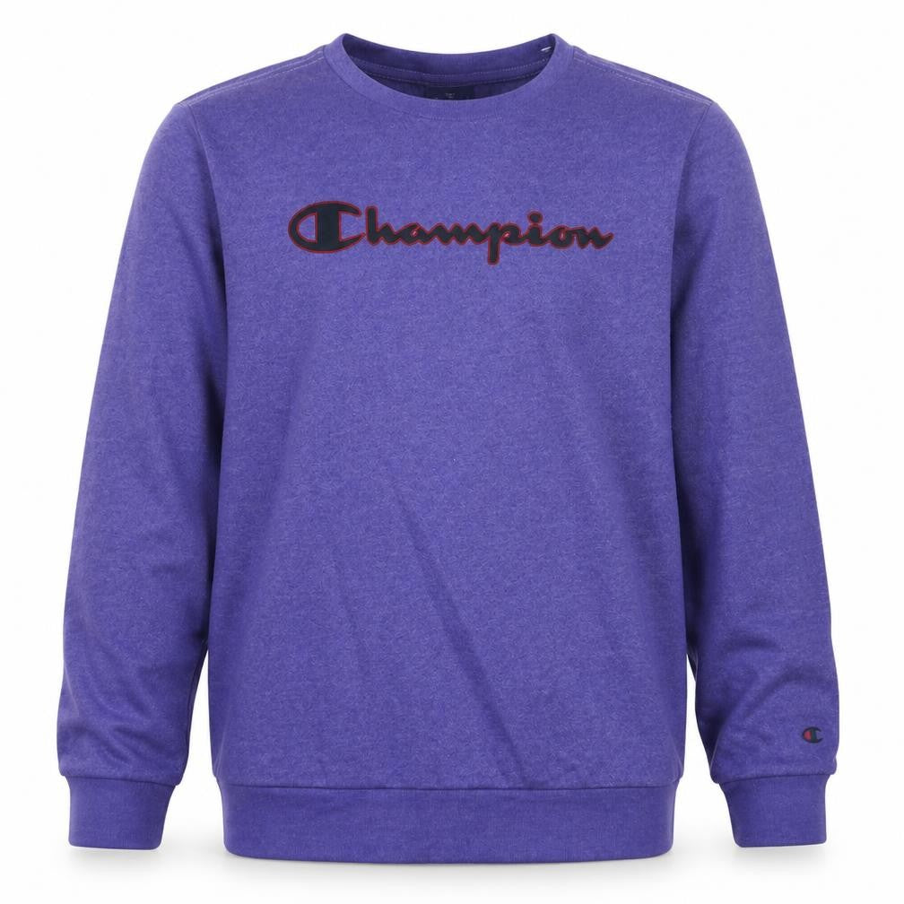 Champion Boys Purple Logo Sweatshirt Size 13-14 Years Crew Neck Fleece