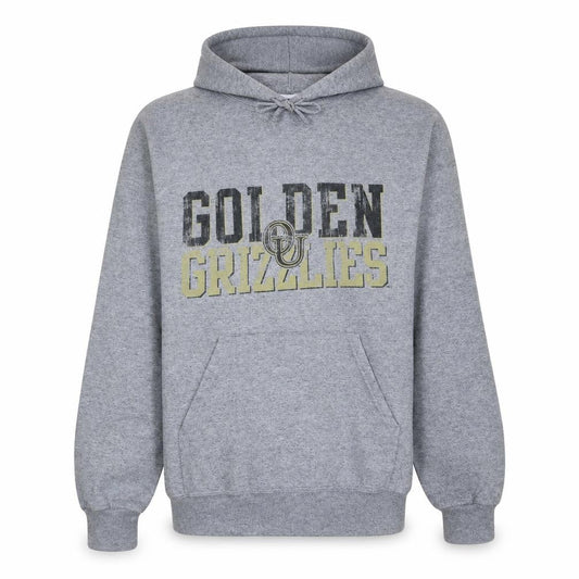 Champion Men’s Grey Pullover Hoodie M Golden Grizzlies Fleece