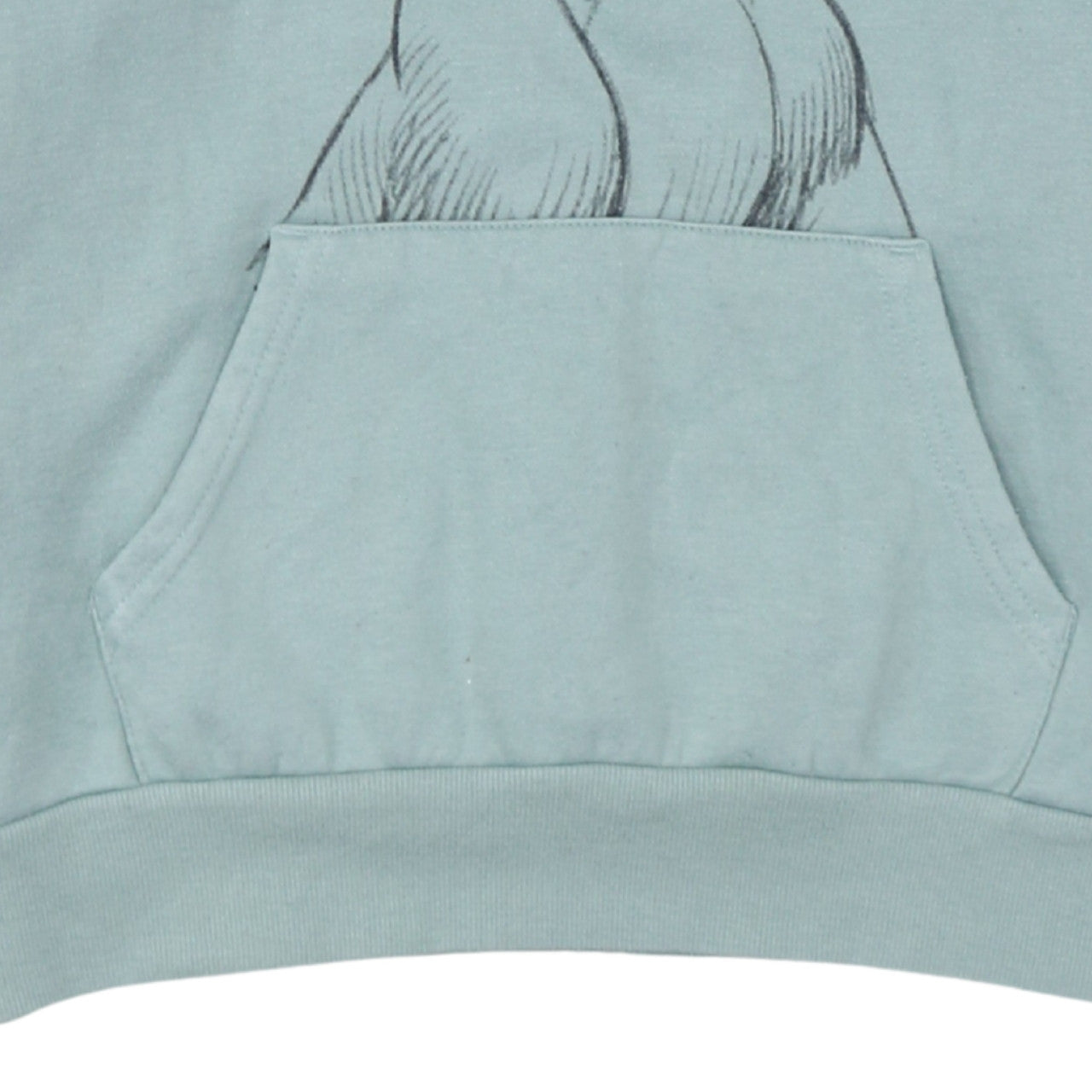 Disney Women Blue Simba Graphic Pullover Hoodie XS