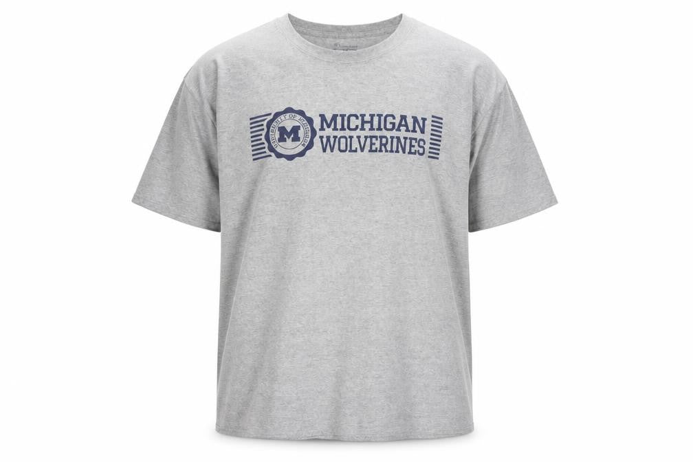 Champion Mens Grey Michigan Wolverines Graphic T-Shirt 2XL