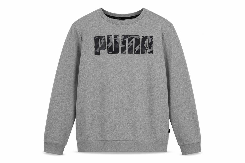 Puma Boys Grey Logo Crew Neck Pullover Sweatshirt 13-14 Years