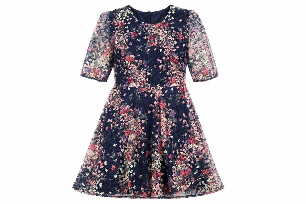 Oasis Women Blue Floral Lace A-Line Knee Length Dress L