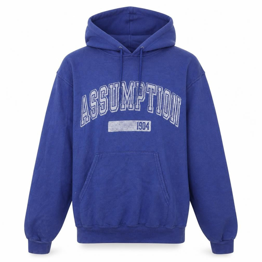 Champion Women's Blue Pullover Hoodie Small Assumption Graphic