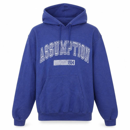 Champion Women's Blue Pullover Hoodie Small Assumption Graphic