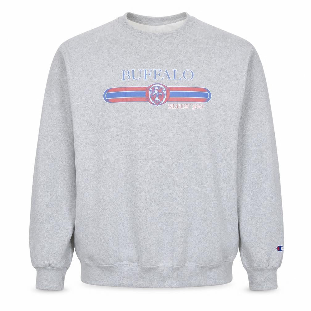 Champion Men's Grey XL Pullover Sports Sweatshirt