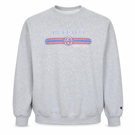 Champion Men's Grey XL Pullover Sports Sweatshirt