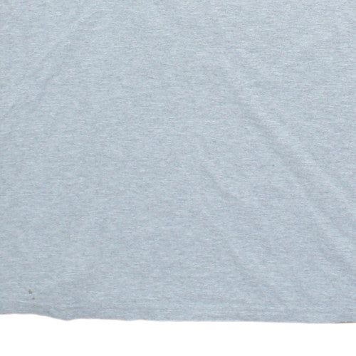 Reebok Men’s Grey 2XL Sports Champions Graphic T-Shirt