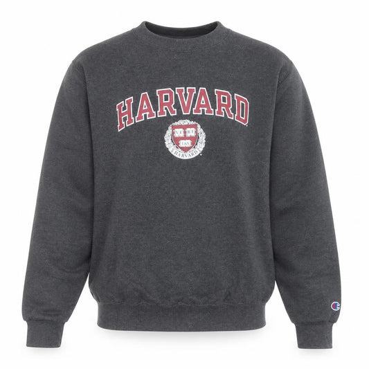 Champion Men’s Grey Harvard Pullover Sweatshirt XS Crew Neck