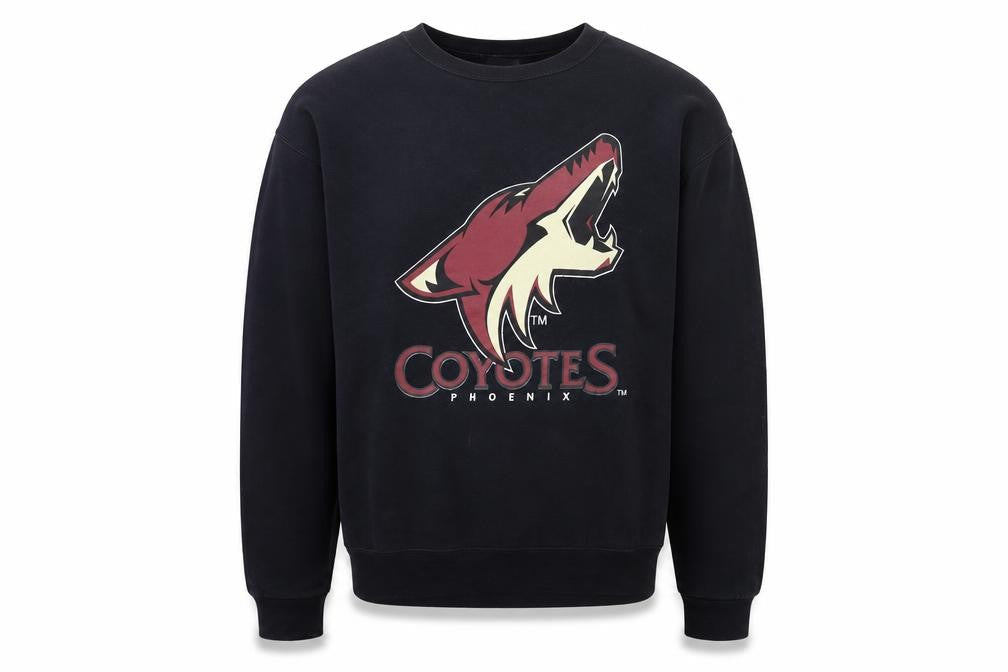 Jerzees Men’s Black Phoenix Coyotes Logo Sweatshirt Size L Vintage Pullover