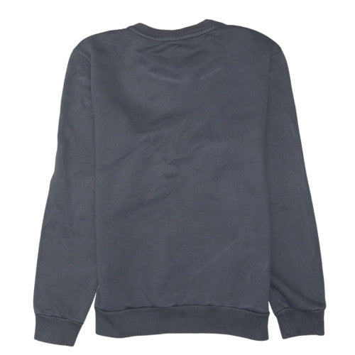 Puma Men's Grey Crew Neck Pullover Sweatshirt XS