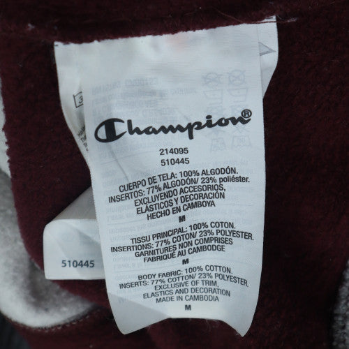 Champion Men's Grey Brown Pullover Hoodie Medium Logo Striped