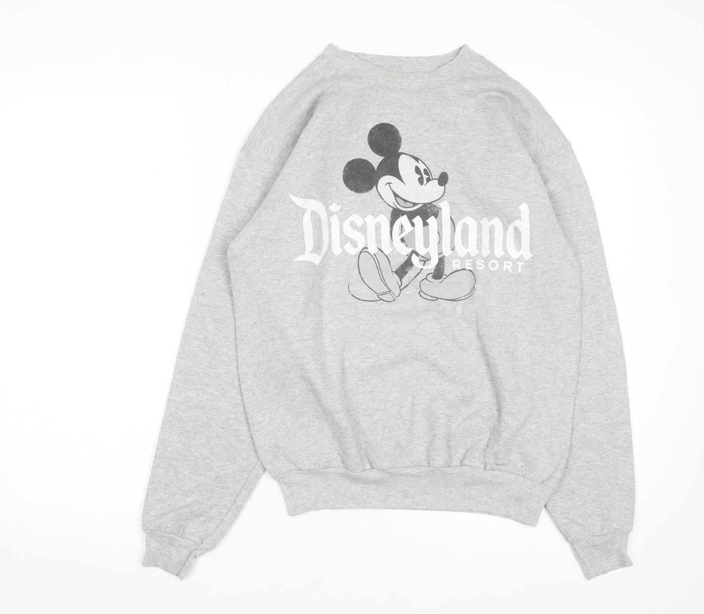 Hanes Disneyland Resort Mens Grey Small Pullover Sweatshirt