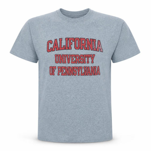 Champion Men's Grey California University Graphic T-Shirt XL