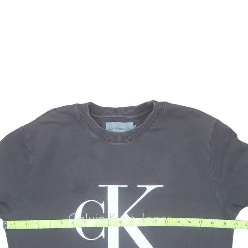 Calvin Klein Jeans Men's Grey Logo Sweatshirt Size S Pullover