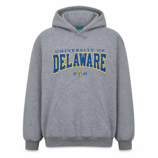 Champion Men's Grey University of Delaware Pullover Hoodie L