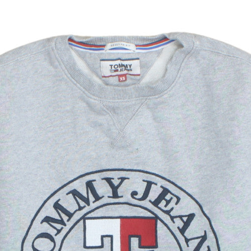 Tommy Jeans Men's Grey XS Crew Neck Logo Sweatshirt