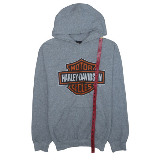 Harley-Davidson Mens Grey Pullover Hoodie L Biker Graphic