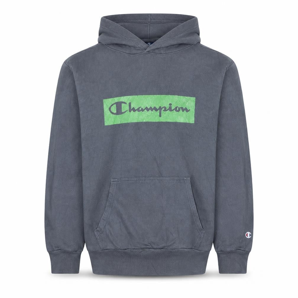 Champion Men's Grey Pullover Hoodie Small Logo Graphic Fleece