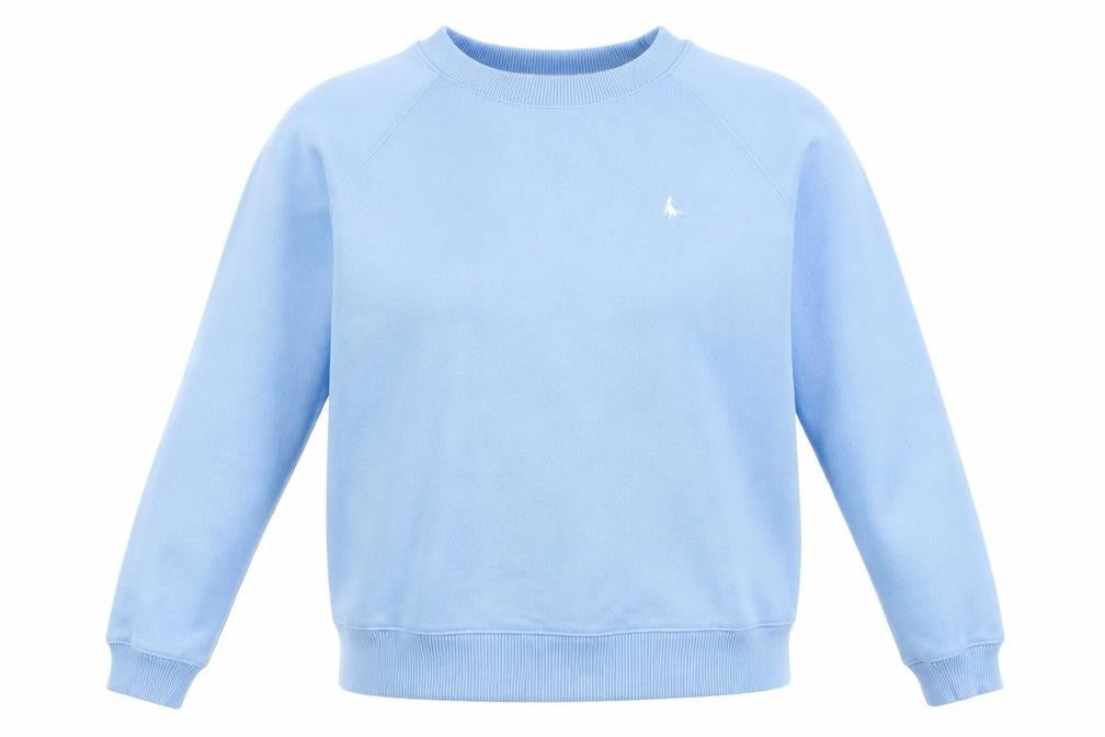 Jack Wills Women Blue Crew Neck Pullover Sweatshirt UK10