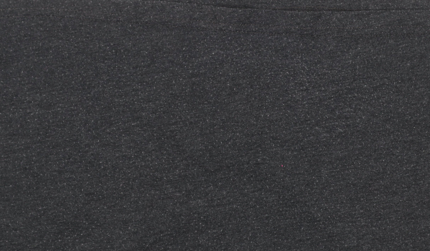 Garage Inc Men's Grey Adventure Print Crew Neck Graphic T-Shirt Medium