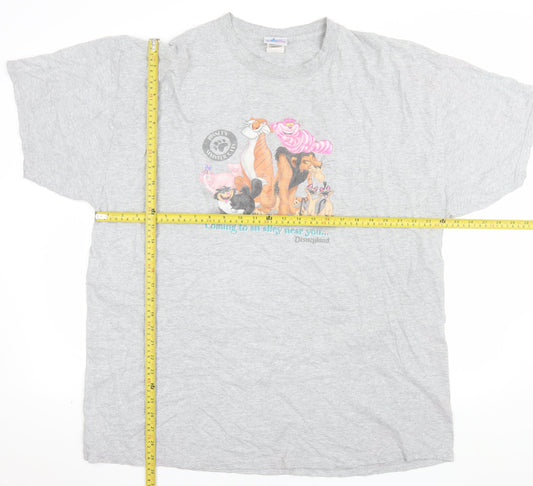 Disneyland Resort Men’s Grey 2XL Vintage Disney Villains Graphic T-Shirt