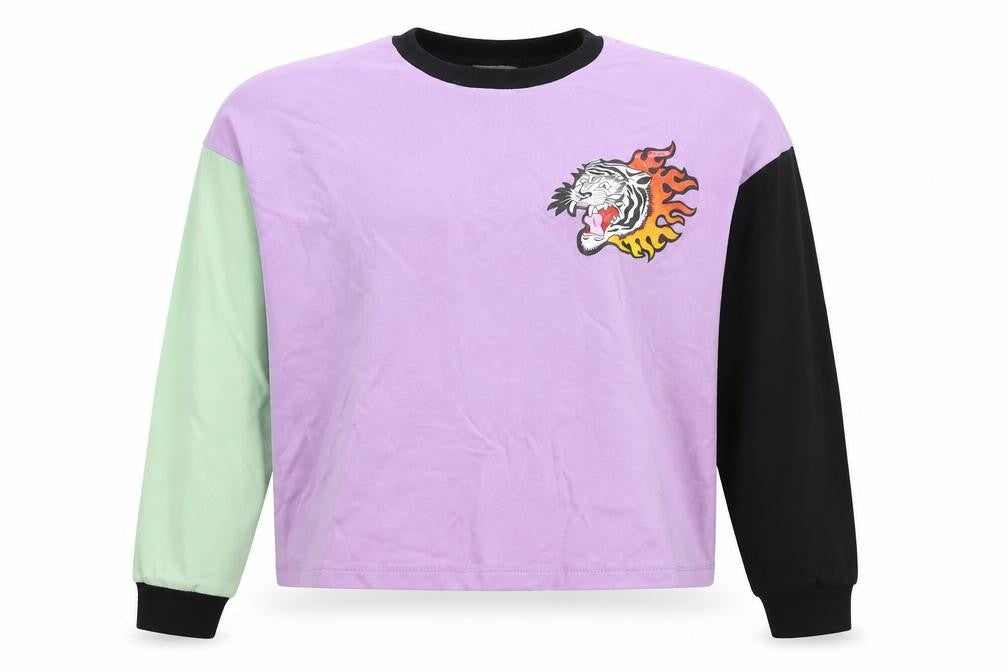 The Ragged Priest Women’s XS Multicoloured Tiger Colourblock Sweatshirt