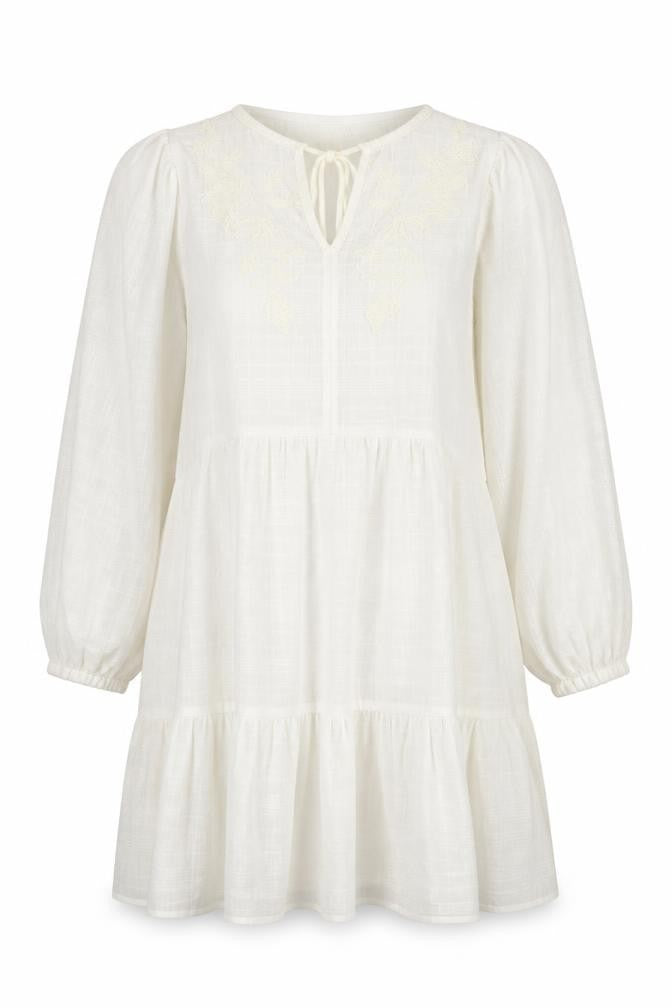 Next Petite Women Ivory UK 12P Floral Embroidered A-Line Mini Dress