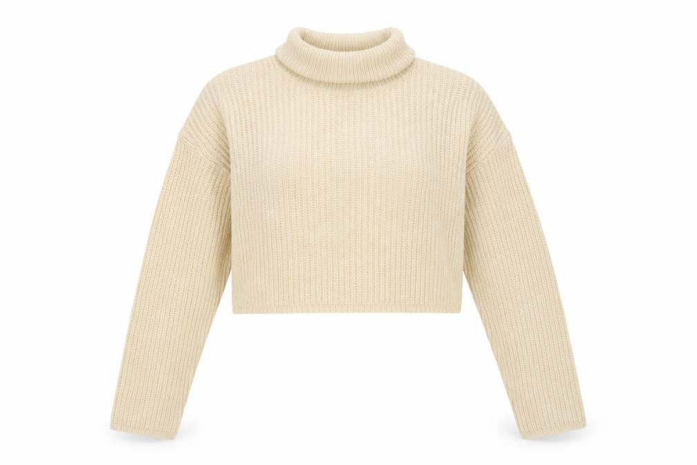 Missguided Women Ivory UK 8 Roll Neck Chunky Knit Cropped Jumper