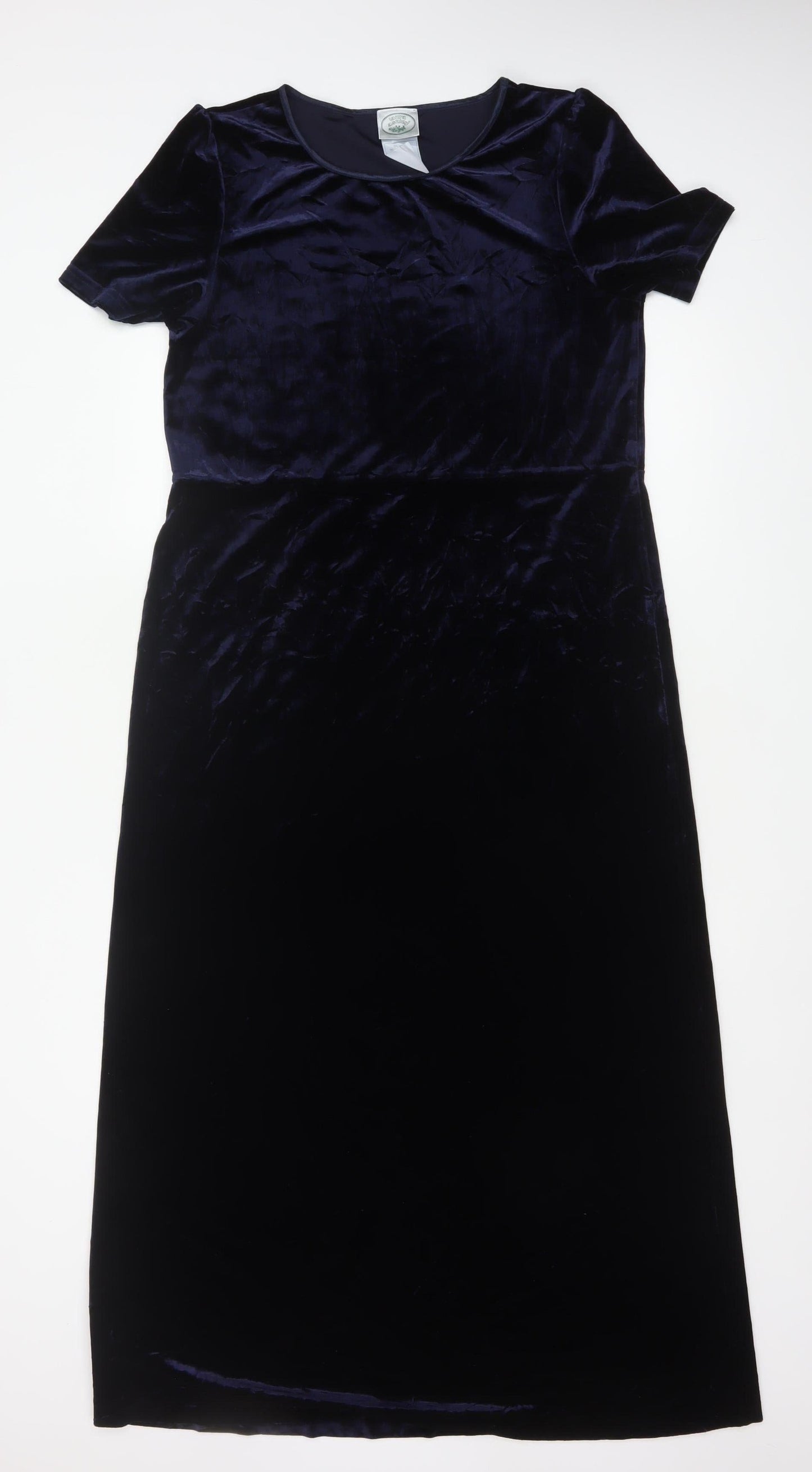 Nature's Smiley Women Blue L Long Velvet A-Line Dress