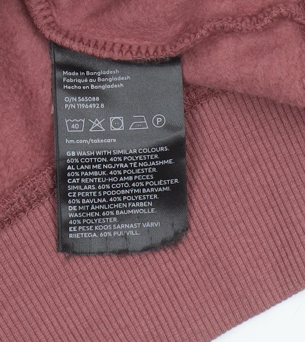 H&M Women’s Pink L Pullover Crew Neck Cropped Sweatshirt