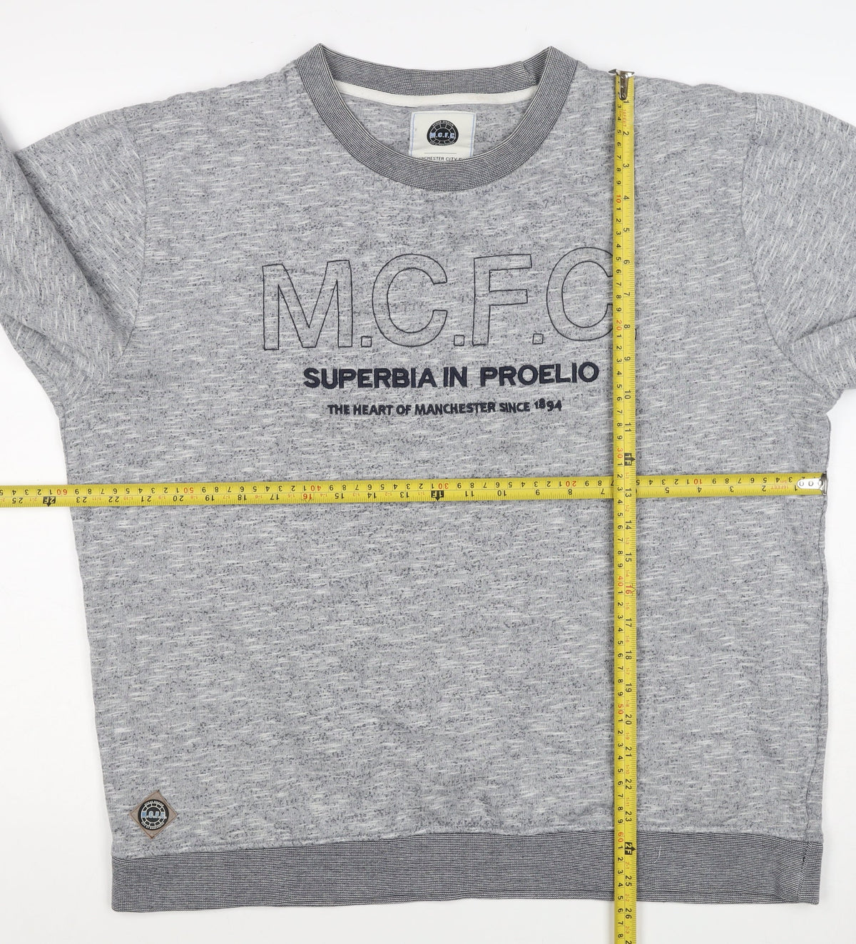 Manchester City FC Men's Grey 3XL Pullover Graphic Sweatshirt